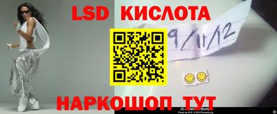 гидропоника Рязань