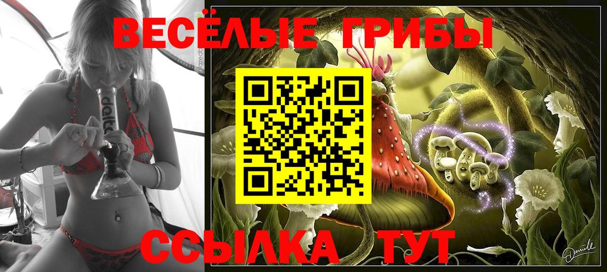 Галлюциногенные грибы GOLDEN TEACHER  Вход с VPN  Приморско-Ахтарск  Псилоцибиновые грибы Psilocybe 